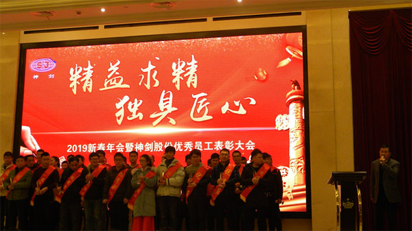 DG视讯股份2019年度新春年会暨优秀员工表彰大会圆满召开