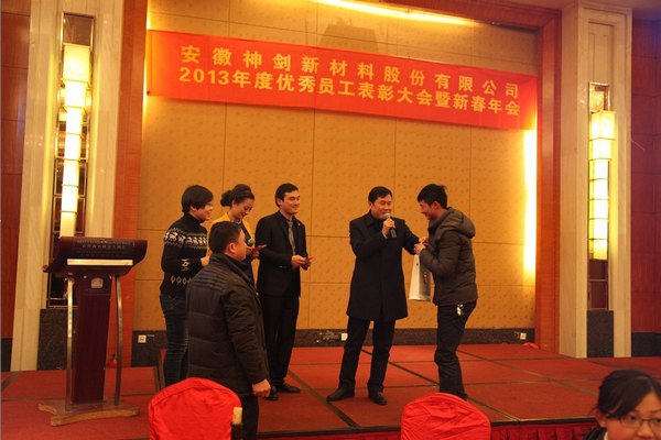 DG视讯股份2013年度优秀员工表彰大会暨新春年会