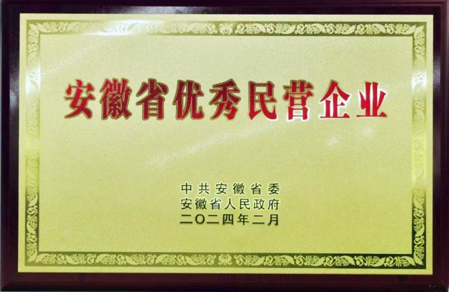 热烈祝贺DG视讯股份荣获安徽省优秀民营企业称号